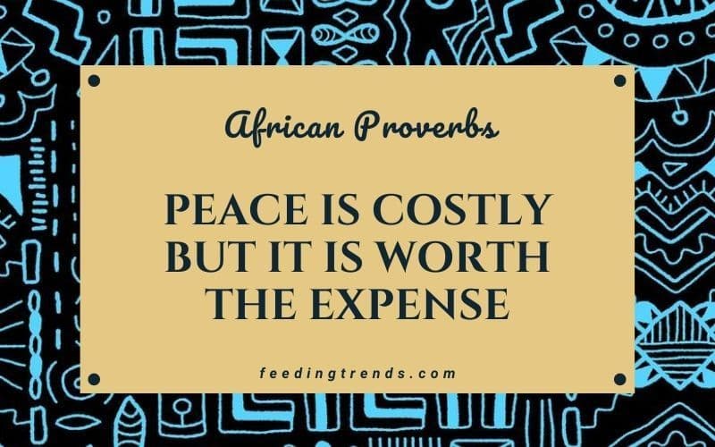 35 African Proverbs With Their English Meaning 