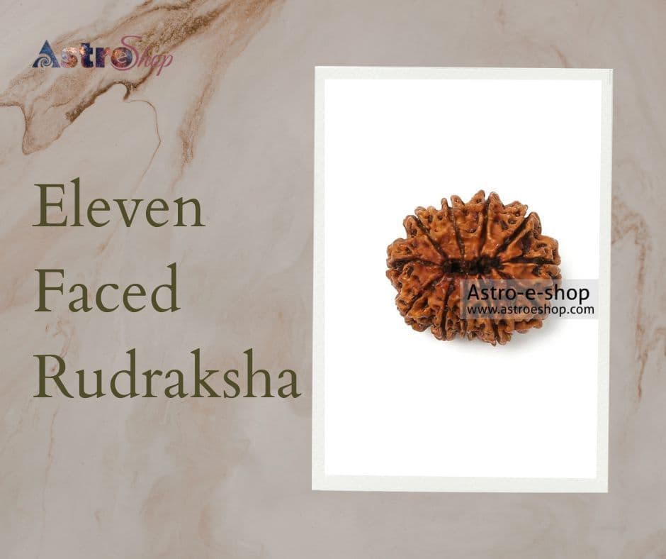 The Divine Significance of Eleven Faced Rudraksha