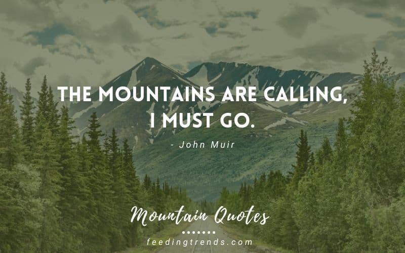 70 Mountain Quotes That Will Ignite The Wanderlust In You