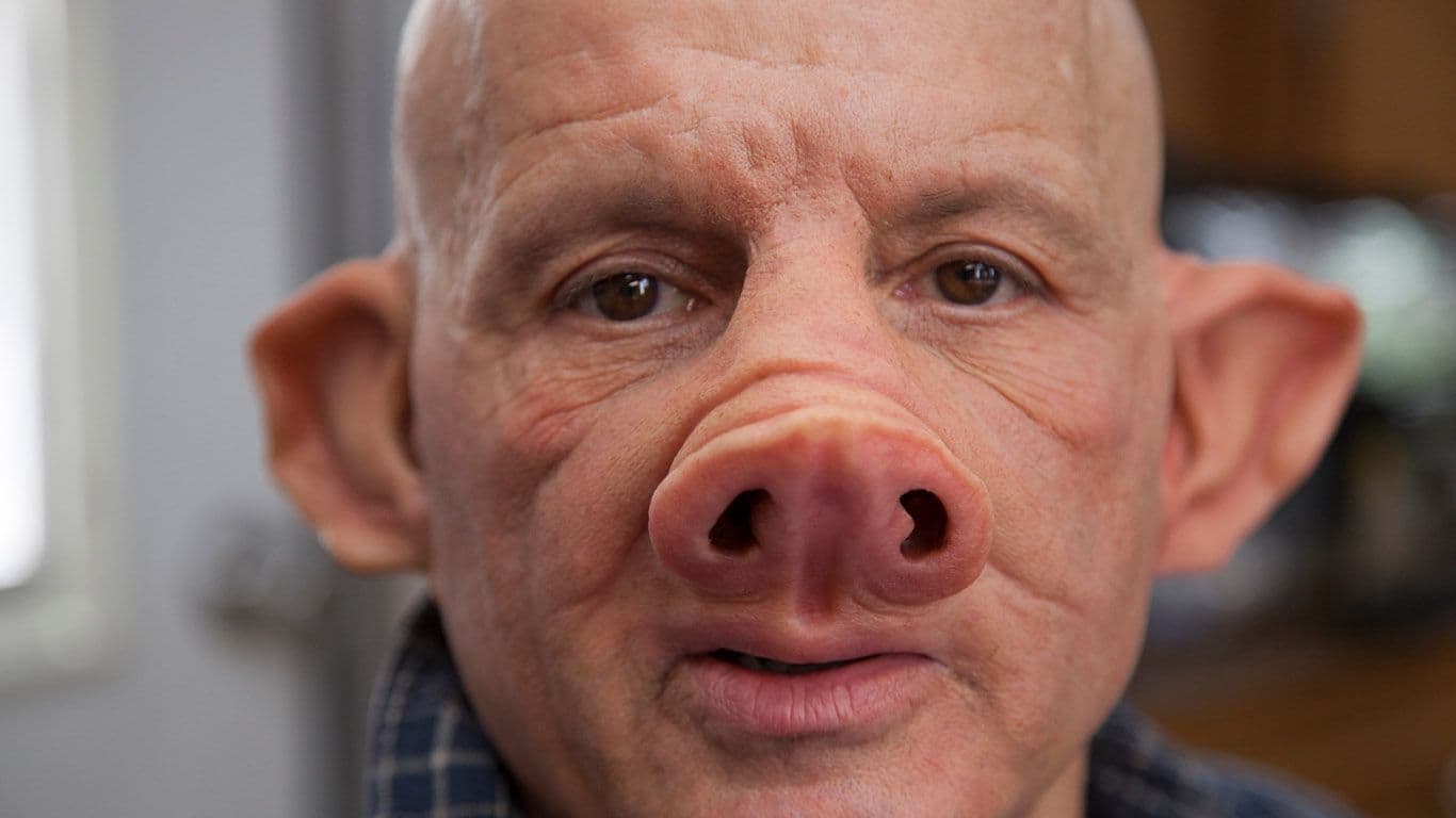 Mad Scientists Create Human-Pig Hybrid For Organ Harvesting