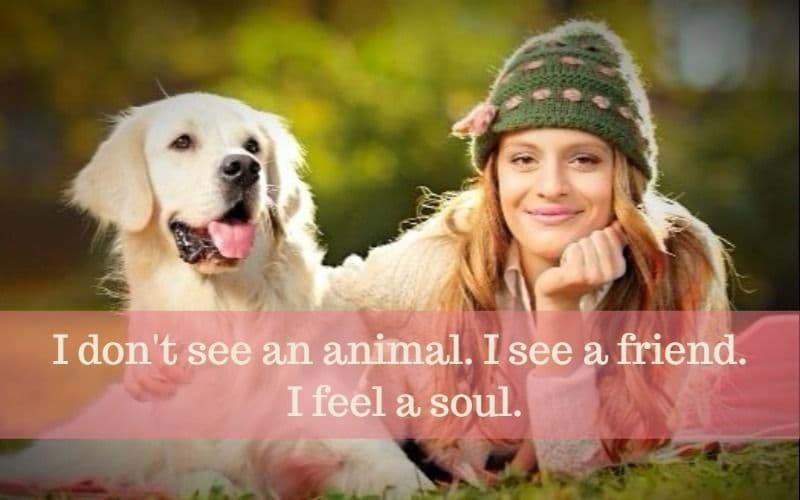 Affection With Animals Might Be Ugly To Accept But It Is Surely Beautiful To Cherish