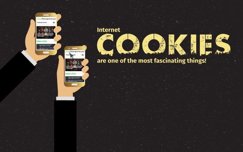 Internet Cookies Can Be A Boon To Websites If They Comply With The EU Laws