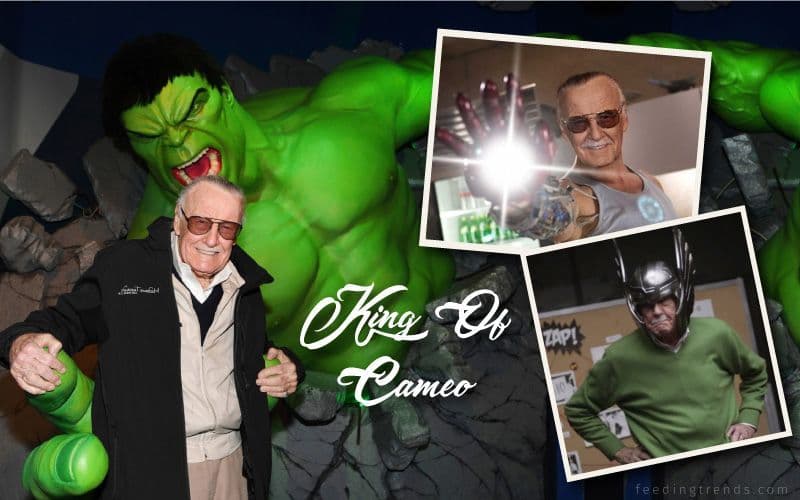 Lesser Known Facts About Stan Lee- The Greatest Story Teller And An Actual Hero Who Bought Characters To Life In Our World.