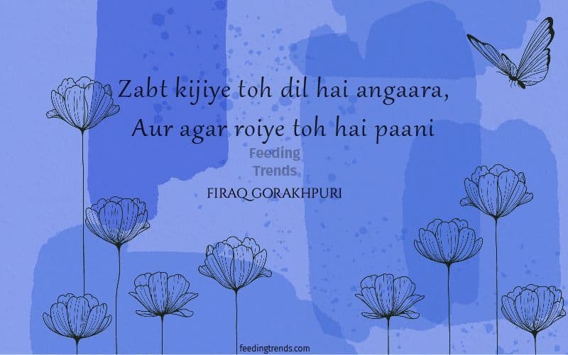 30 Firaq Gorakhpuri Shayari and Poetry That Are Drenched In Love