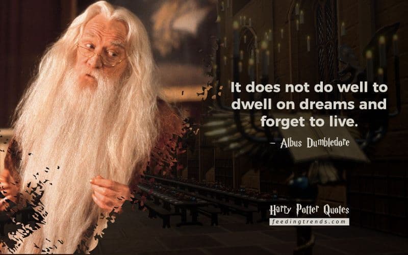 24 Best Harry Potter Quotes by Famous Characters of the Movie