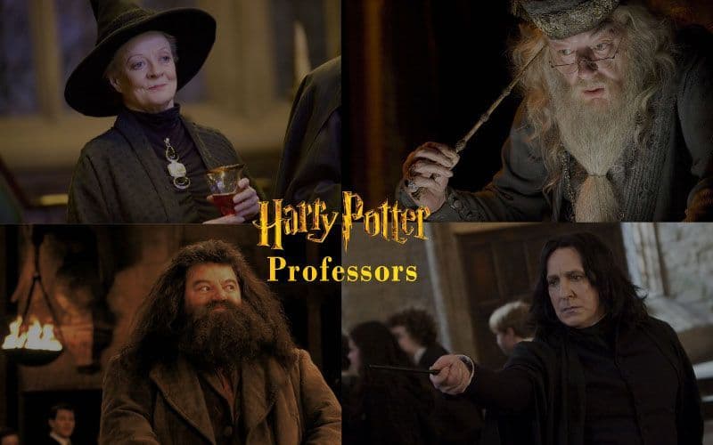 14 Harry Potter Professors We Desire To Have In Our Lives