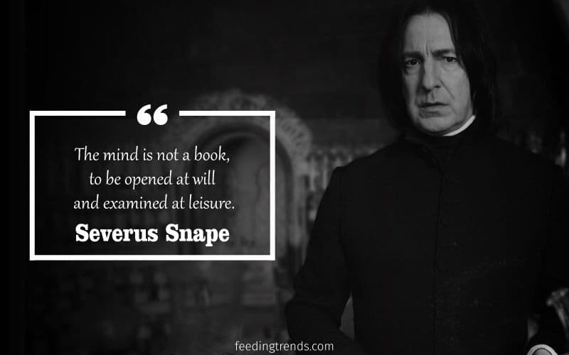 25 Severus Snape Quotes from Harry Potter To Cherish The Cynical Character