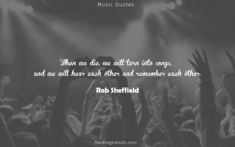 52 Music Quotes For Music Lovers Which Feeds Your Thirst