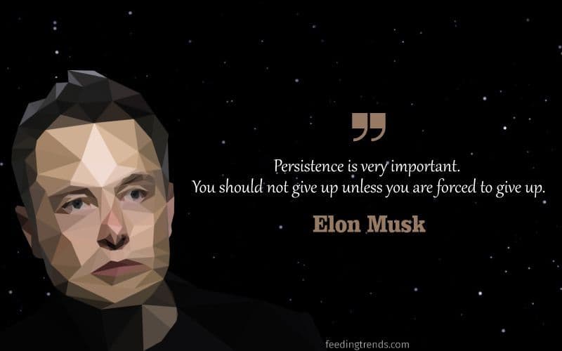 30 Quotes by Elon Musk To Get Motivated and Enlighten Your Life