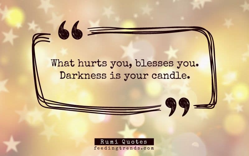 51 Rumi Quotes About Love, Life and Wisdom That Serve As A Guiding Light