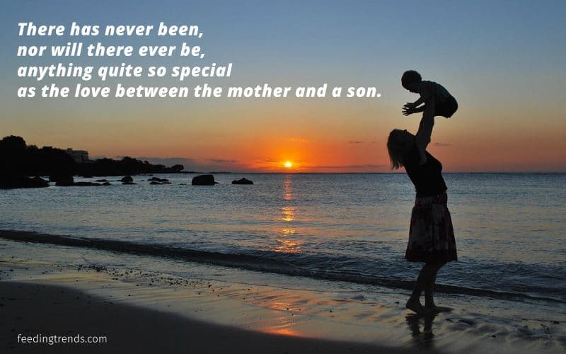 51 Mother Son Quotes That Portray The Beautiful Relationship They Share