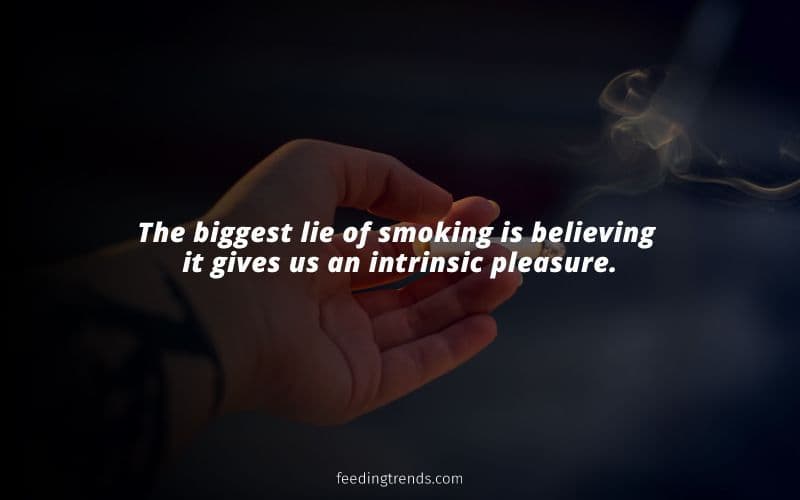 30 Quotes on Smoking which Help You Quit And Lead A Better Life