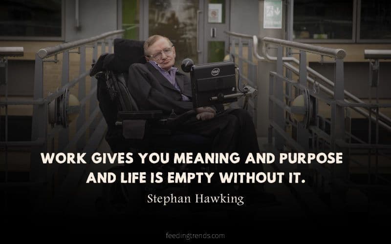 30 Stephen Hawking Quotes That Are Beyond Science and Philosophy