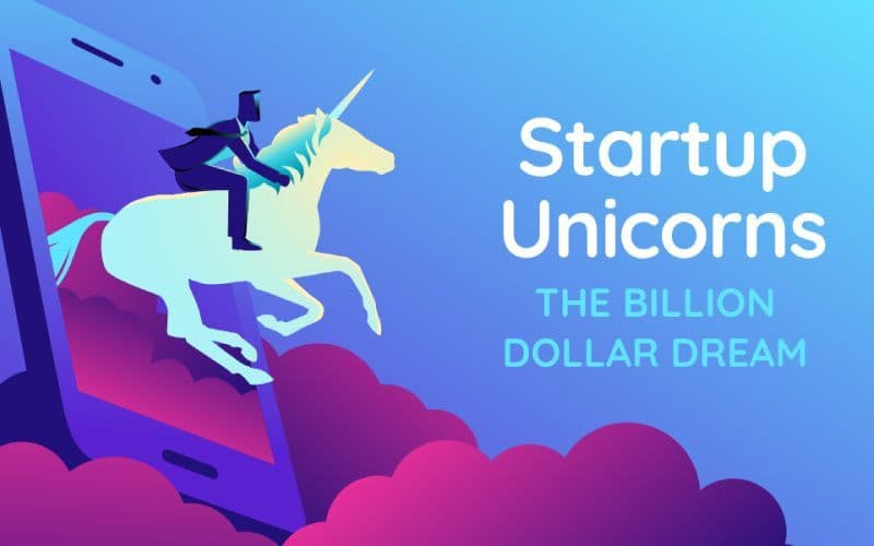 30 Indian Unicorn Startups Whih Have A Valuation of Over 1 Billion USD