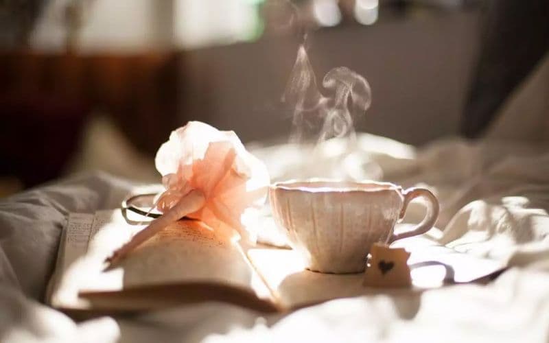 60 Chai Quotes for Chai Lovers That Will Make You Fall For Tea Once Again