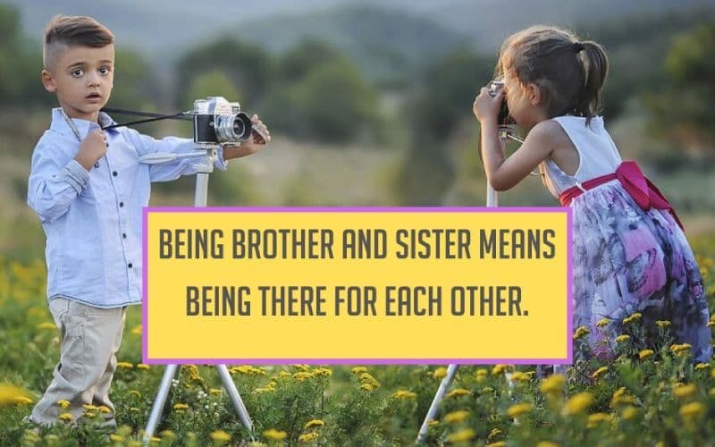 50 Brother Sister Quotes That Define The Great Bonding and Relationship