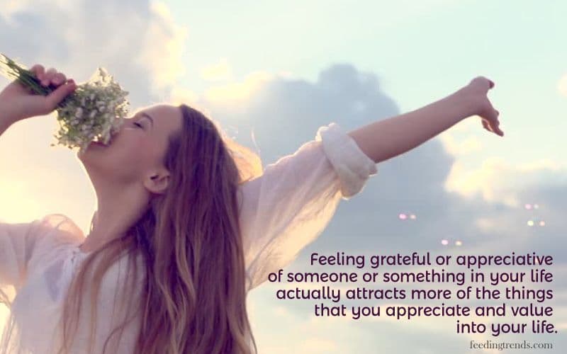 50 Appreciation Quotes To Show Your Gratitude and Thankfulness Towards Things