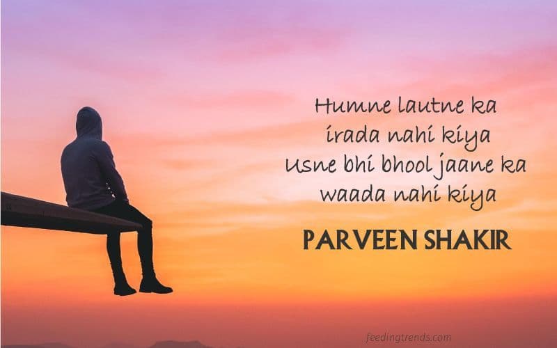 30 Parveen Shakir Urdu Poetries That Express Feelings of Women