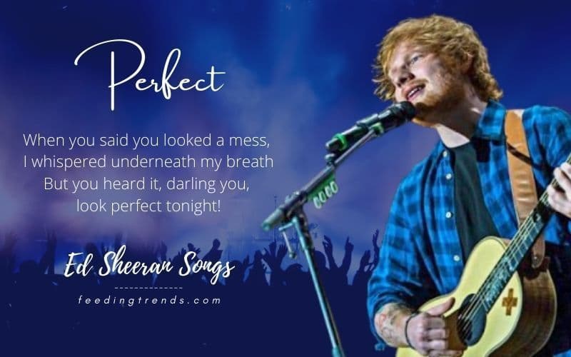 30 Ed Sheeran Songs To Find Pleasure