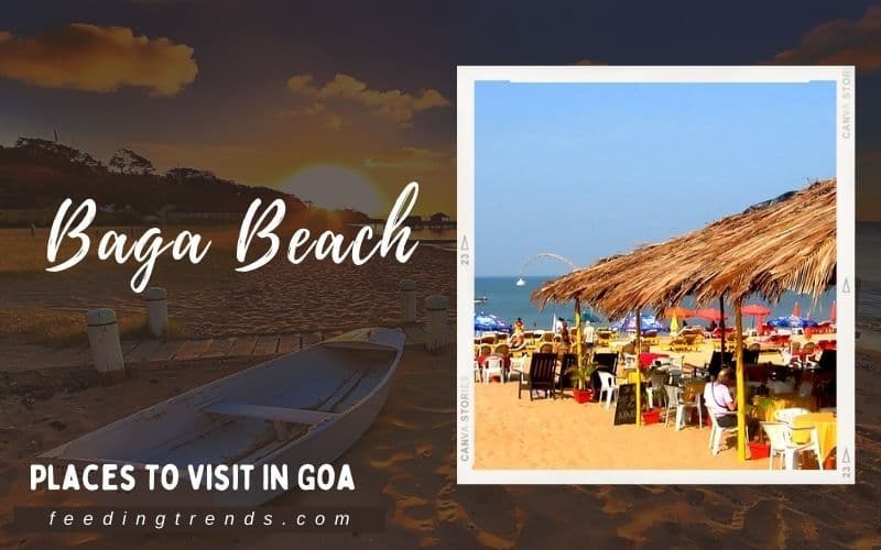 40 Places In Goa For Amazing Travel Experience