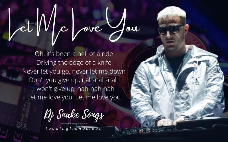 20 Dj Snake Songs That Will Make You Groove