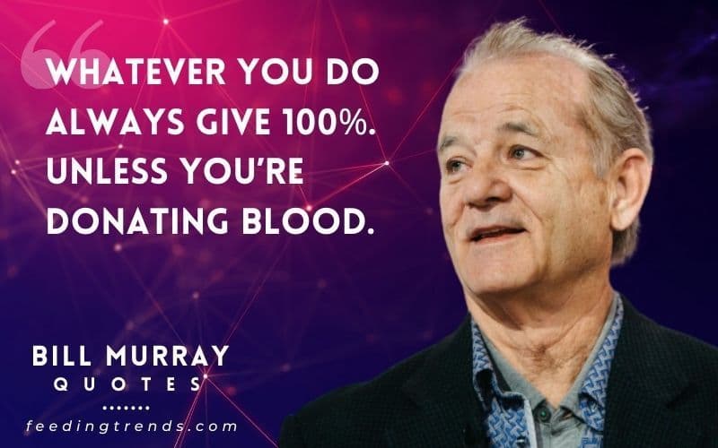 51 Bill Murray Quotes On Life, Success, And Happiness