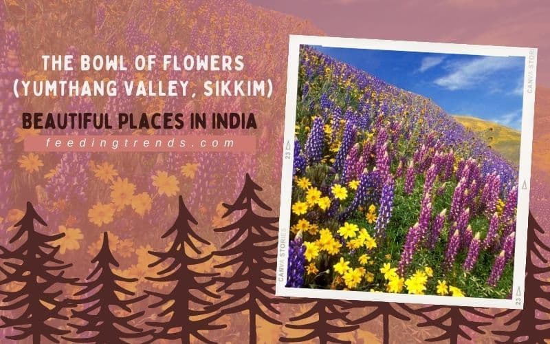 60 Beautiful Places In India To Visit