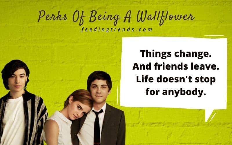 30 Perks Of Being A Wallflower Quotes For A Better Life Experience