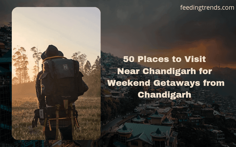 50 Places to Visit Near Chandigarh for Weekends