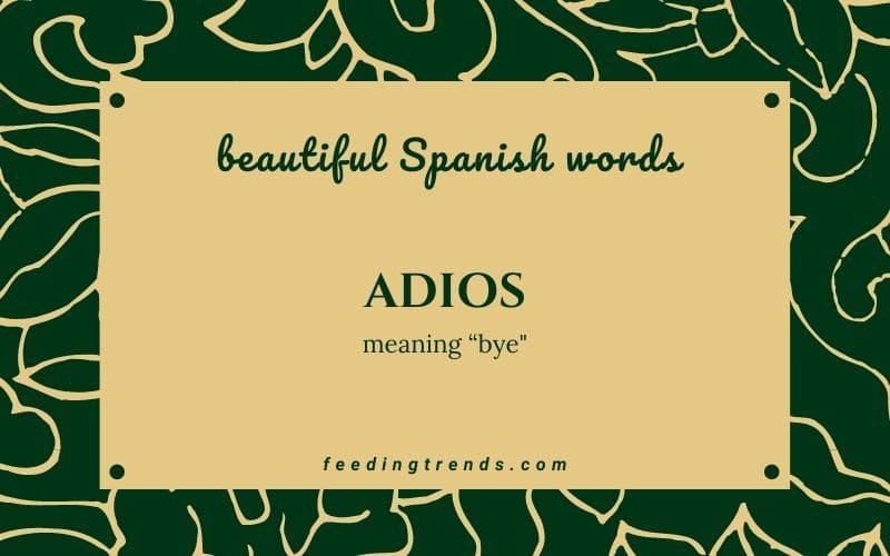 60 Most Beautiful Spanish Words That Can Be Used In A Convo