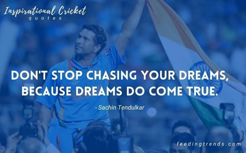 51 Inspirational Cricket Quotes By Famous Cricketers 