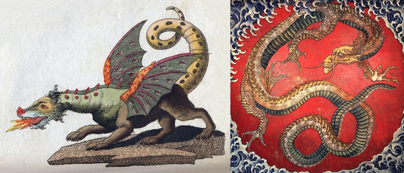 Dragon Snake : Myth or Reality