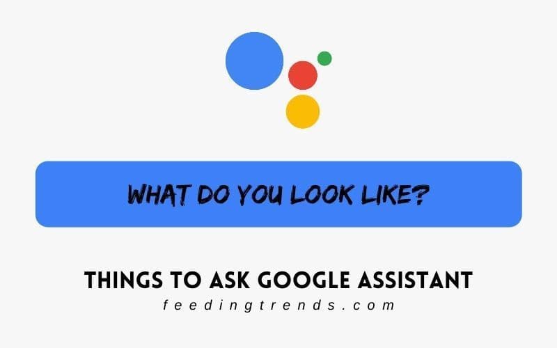 48 Things To Ask Google Assistant For A Hilarious Response