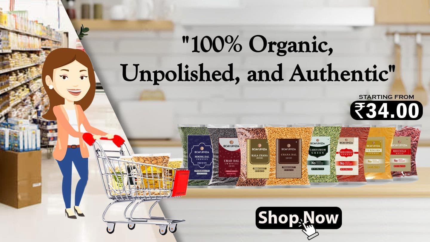 The One-Stop Grocery Shop. Find Everything You Need and More!