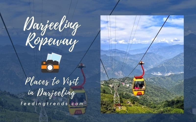 26 Places To Visit In Darjeeling To Embrace The Beauty Of Nature