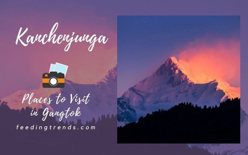 37 Places To Visit In Gangtok That You Must Explore