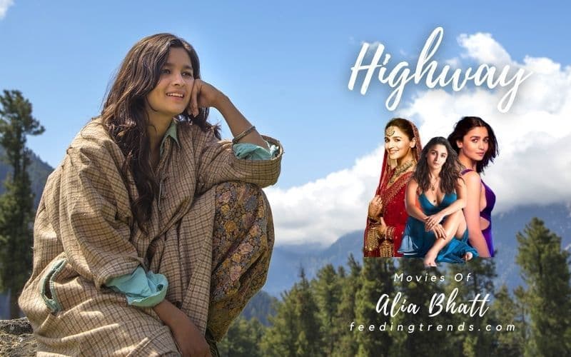 16 Alia Bhatt Movies That Proves How Good Actress She Is