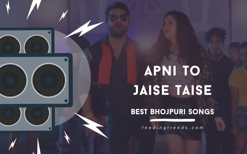 30 Best Bhojpuri Songs Full Of Energy