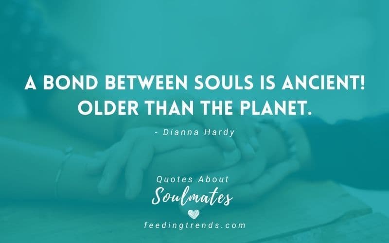 50 Quotes About Soulmates To Express The Never Ending Bond