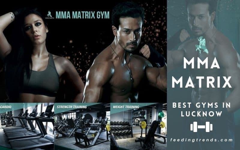 5 Best Gyms In Lucknow To Keep You In Perfect Shape And Fit