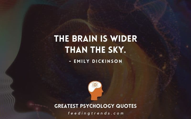 25 Greatest Psychology Quotes And Importance Of Psychology