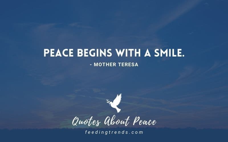 30 Quotes About Peace That Will Provide Serenity In Your Life