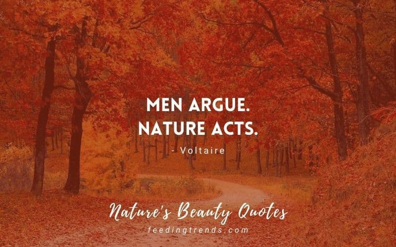 70 Nature's Beauty Quotes For Nature Lovers