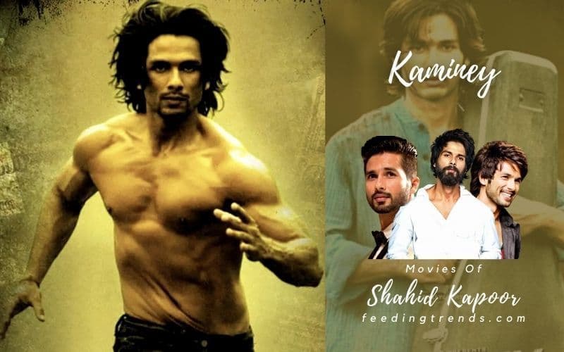 21 Shahid Kapoor Movies That Will Make You A Film Buff