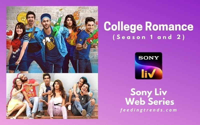 25 Sony Liv Web Series To Watch