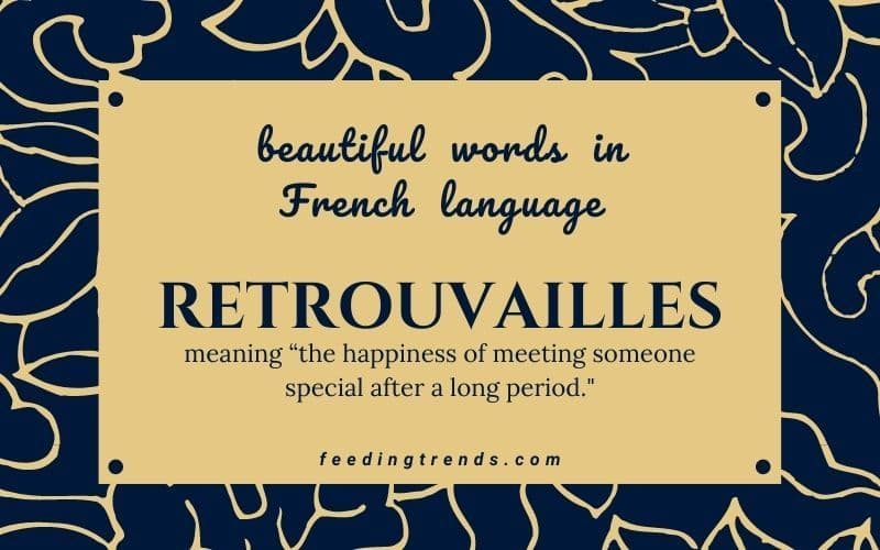 60 Beautiful Words In French Language