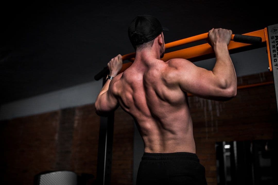 How to Structure a Back Work-Out? 4 Best Back Exercises
