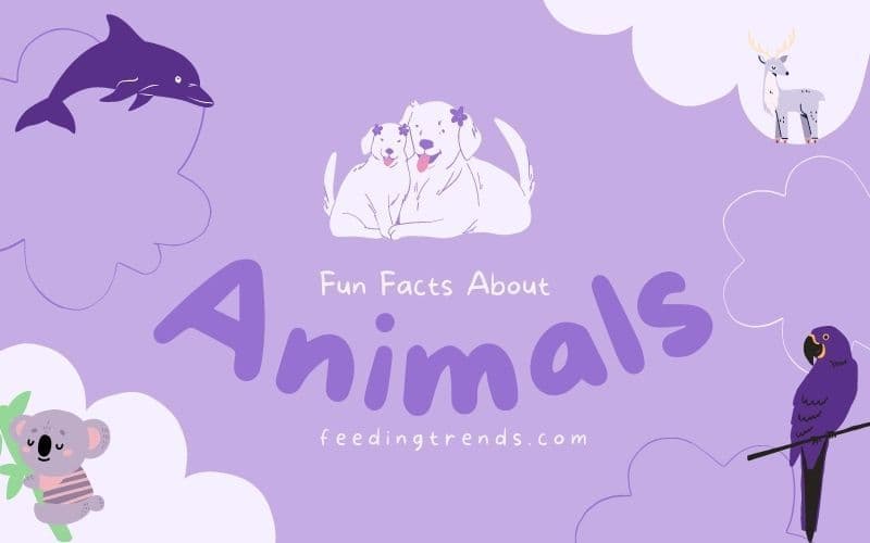 30 Fun Facts About Animals That Will Shock You