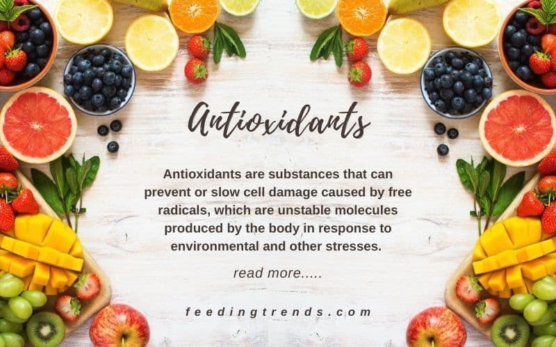 Antioxidants And All You Need to Know About It