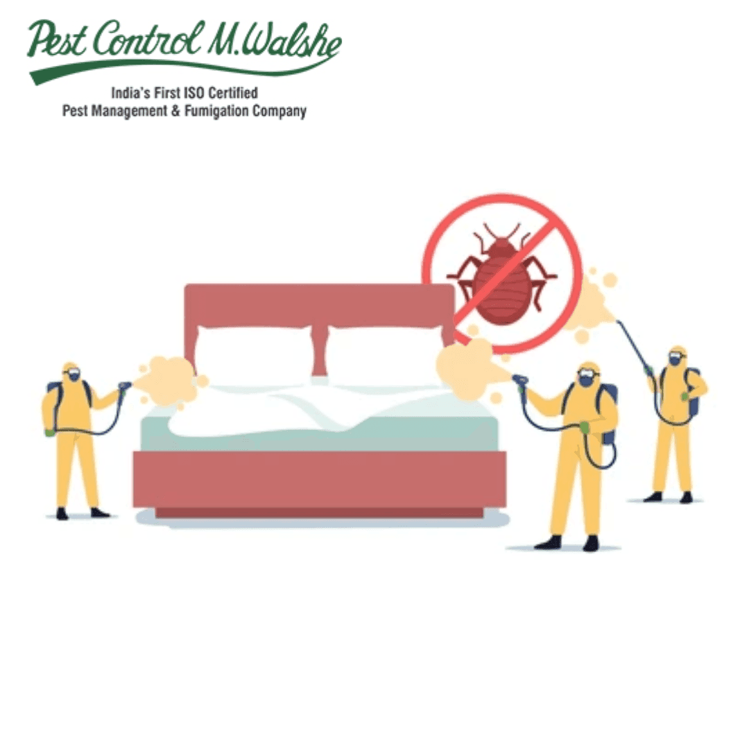 Fumigation Companies to Eliminate Bedbugs and Household Pests